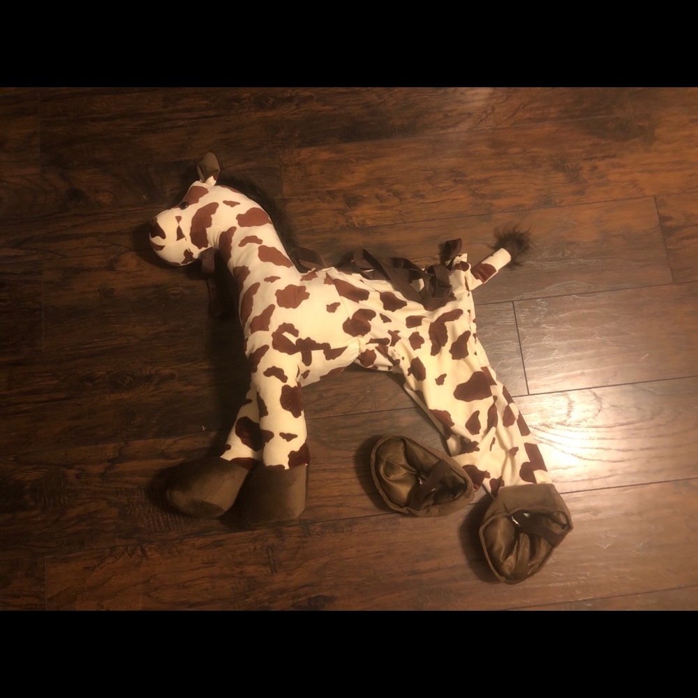 Cowboy Horse